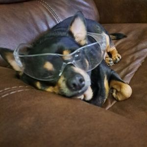 Meet your Posher, Ben